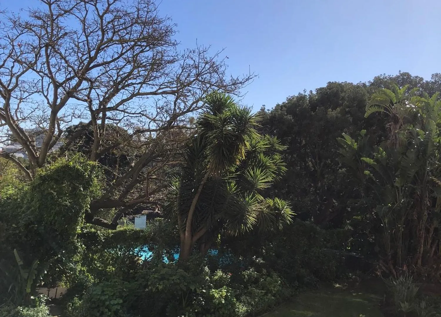 Apartment Green Point Kiffness Kapstadt